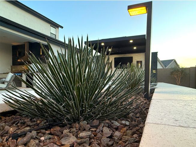 Sterling Grove Landscape Contractor | Arizona Rainfall